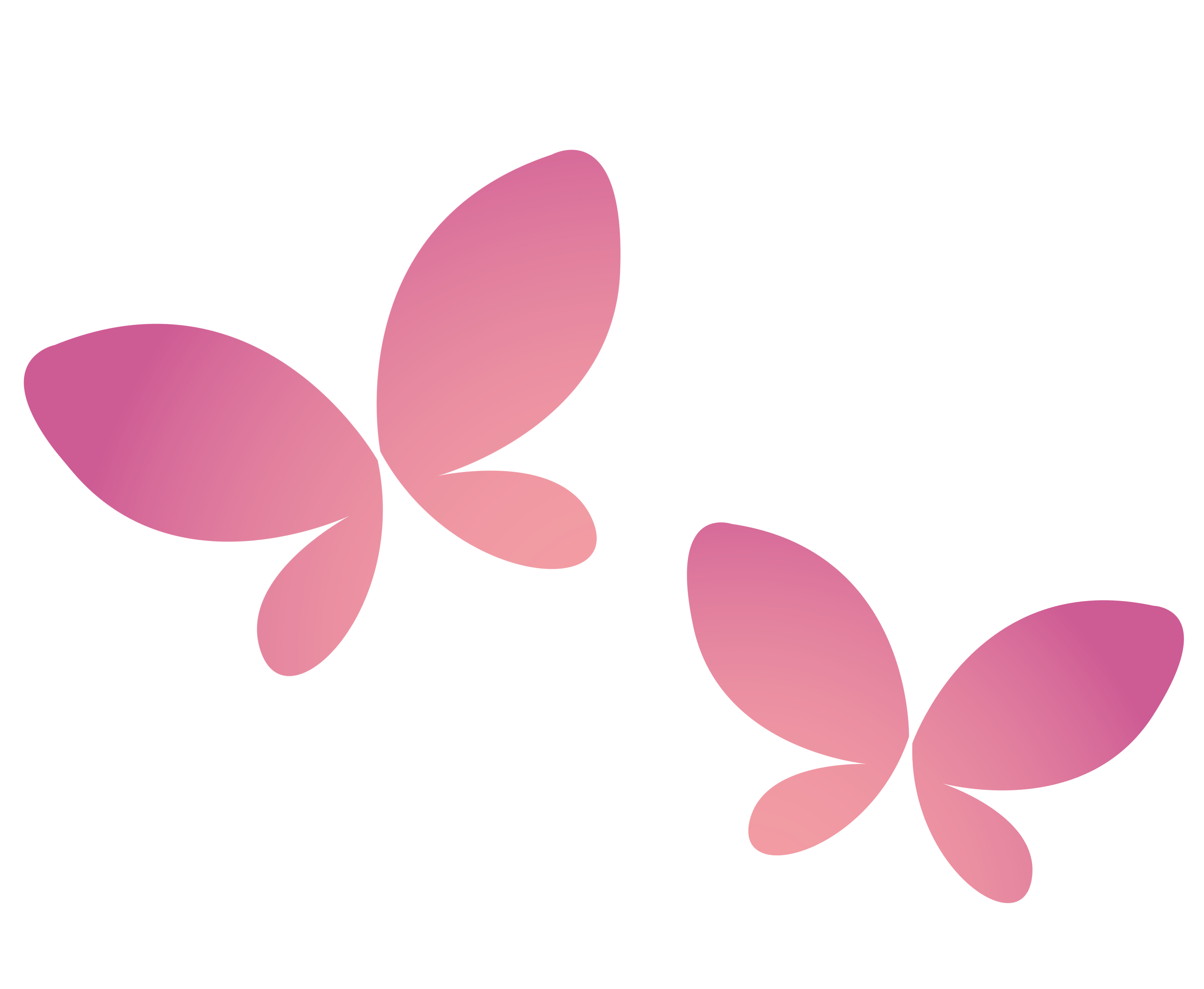 Afbeeldingen voor website (42 x 29.7 cm) (1)